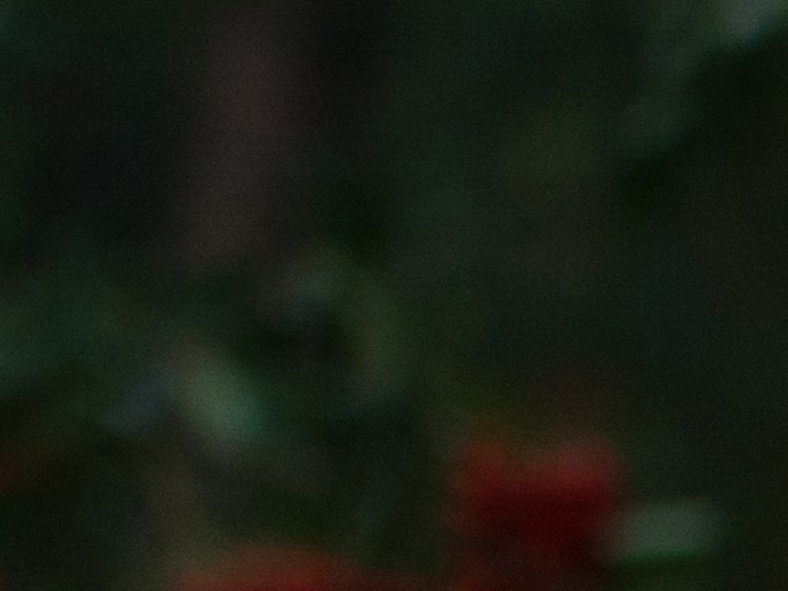 Vampiro