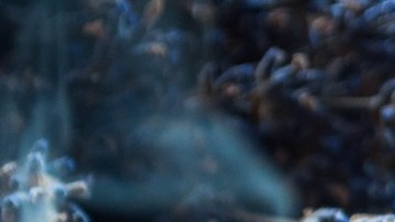 8 velas aromáticas de lavanda que le darán un toque de paz y armonía a tus espacios