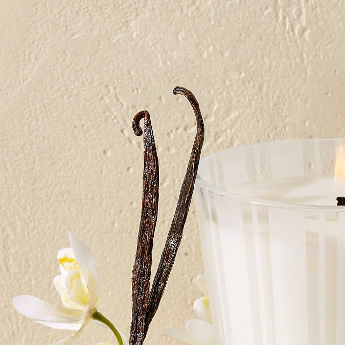 9 populares velas aromáticas de vainilla para darle a tu hogar un toque sofisticado