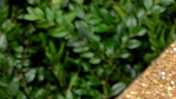 Victoria y David Beckham hablan por primera vez sobre los rumores de infidelidad