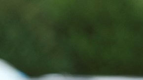 Captan tierno momento entre Kate Middleton y el príncipe William; los fans explotan de amor