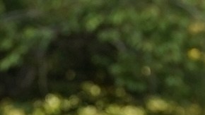 La pelea del príncipe William y su hermano siguió durante el funeral de la reina Elizabeth II