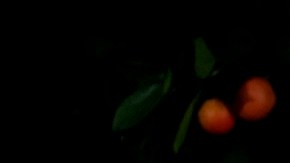 Aprovecha el Black Friday 2023 para comprar los “favoritos de Oprah” por menos dinero