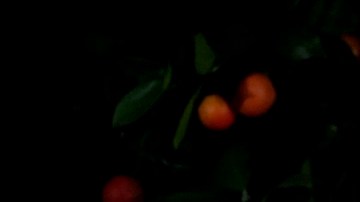 Aprovecha el Black Friday 2023 para comprar los “favoritos de Oprah” por menos dinero