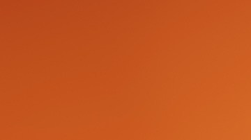 Black Friday 2023 en Amazon: 9 hermosas bolsas para tu colección desde $17 dólares