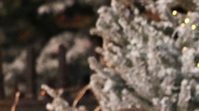 ¿Cómo pasará Navidad la familia real británica? Todo lo que se sabe de su celebración