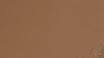 Conoce el serum con retinol de $19.99 dólares que las compradoras llaman “Bótox en botella”