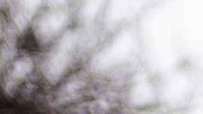 Invierno