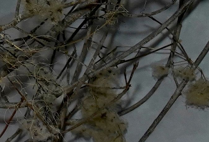 Jessica Alba Vanessa Bryant, Kelly Sawyer Patricof, Co-CEO, Baby2Baby, Salma Hayek Pinault, Norah Weinstein, Co-CEO, Baby2Baby, Kim Kardashian and Jessica Alba