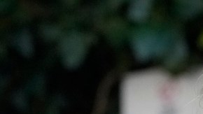 Kate Middleton da otra clase de estilo y elegancia perfecta para usar en otoño/invierno