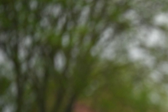 Las 6 revelaciones más fuertes en ‘Endgame’ el nuevo libro sobre la familia real británica