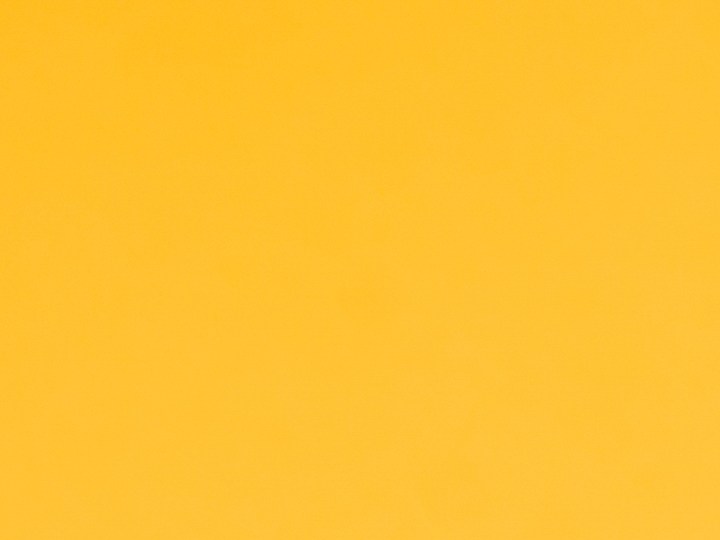 Pelo