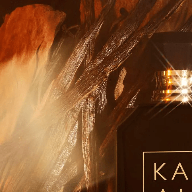 Resalta tu “energía femenina oscura” con estos 6 perfumes con notas de oud para invierno