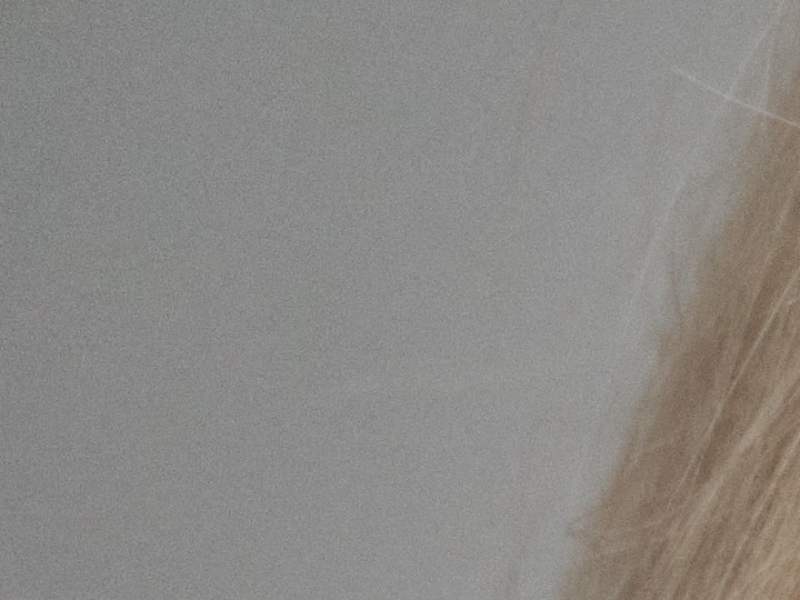 Piel