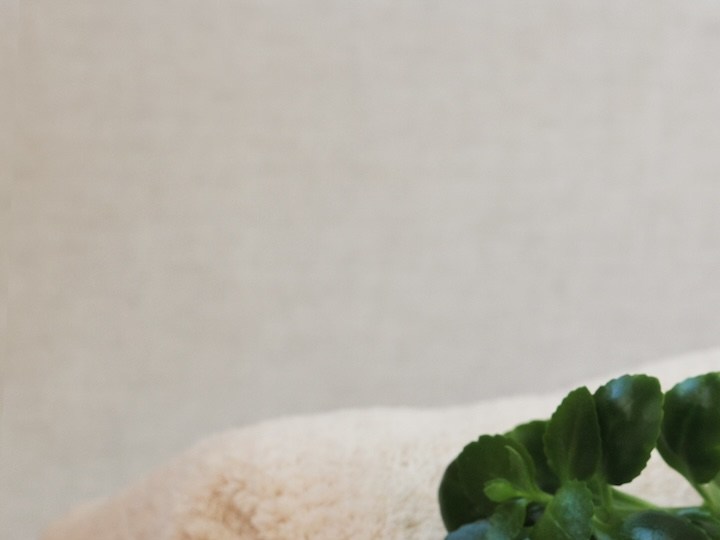 6 lindas velas aromáticas de Zara Home para darle un toque de estilo a tus espacios