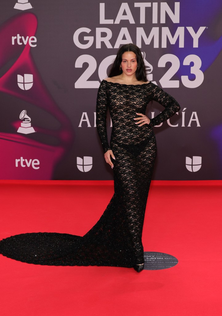 Premios Grammy Latinos 2023: Los looks de impacto en la alfombra roja [FOTOS]