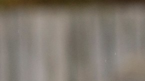 VIDEO: Kate Middleton entra en “modo mamá” cuando un niño cae de su bicicleta en Escocia