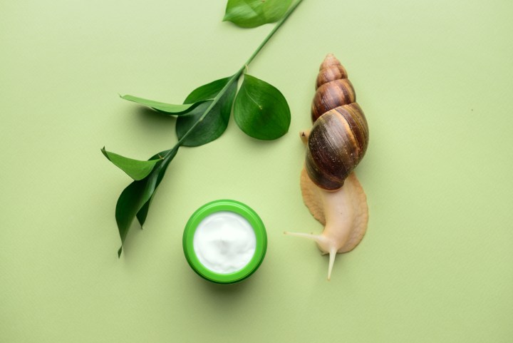Baba de Caracol