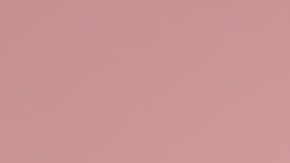 Cremas y lociones en barra: la forma más práctica de cuidar y consentir a la piel seca