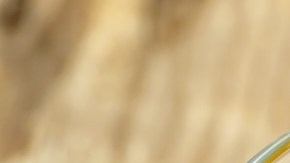 Cuidado del cutis: 6 beneficios de la manzanilla y cómo usarla en la piel del rostro