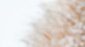 Dile adiós al frío con estos 8 guantes de mujer con forro polar por menos de $7 dólares