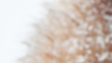 Dile adiós al frío con estos 8 guantes de mujer con forro polar por menos de $7 dólares
