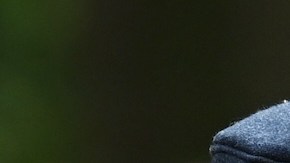 El drama del príncipe Harry se usó para quitar la atención de la infidelidad del príncipe William