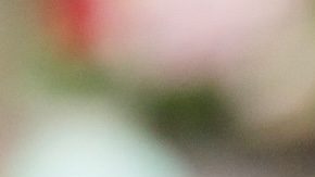 ¿La mamá de Kate Middleton manipuló la conquista del príncipe William? Lo que se sabe al respecto