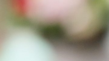 ¿La mamá de Kate Middleton manipuló la conquista del príncipe William? Lo que se sabe al respecto