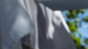 7 lindos regalos de Navidad 2023 para tu mascota que tienen temática de Disney