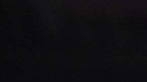 Meghan Markle, su esposo y sus dos hijos, tomaron unas vacaciones secretas antes de Navidad