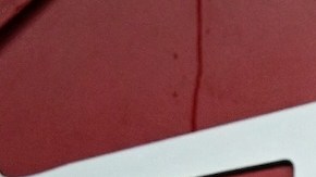 Pamela Anderson, sin una gota de maquillaje, da una clase de estilo para usar blanco en invierno