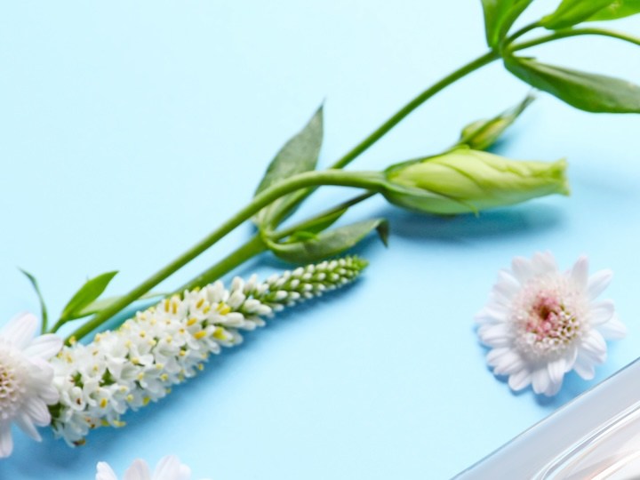 Perfumes de mujer para 2024: 7 fragancias frescas que te dejarán un aroma vibrante y único