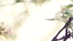 7 perfumes dulces y sofisticados para empezar el 2024 con mucho estilo y glamour