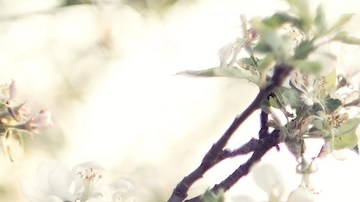 7 perfumes dulces y sofisticados para empezar el 2024 con mucho estilo y glamour