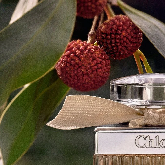 7 perfumes para mujeres de 50+ que son sofisticados, magnéticos y modernos