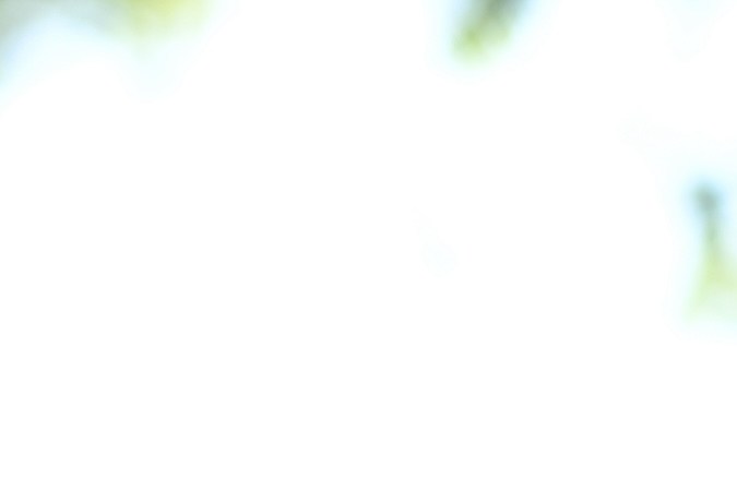 El príncipe Harry gana demanda contra tabloide por el hackeo de su teléfono y así reaccionó