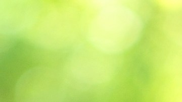 El príncipe Harry dice que teme por la seguridad de Meghan Markle y sus dos hijos