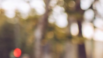 Regalos navideños para amantes de los perros: 9 correas manos libres desde $15 dólares