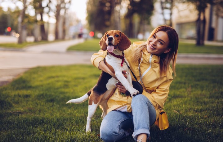 Regalos navideños para amantes de los perros: 9 correas manos libres desde $15 dólares