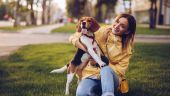 Regalos navideños para amantes de los perros: 9 correas manos libres desde $15 dólares