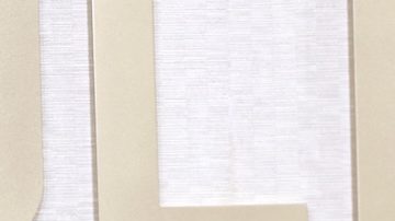 El chisme entre Selena Gomez y Taylor Swift no fue sobre Kylie Jenner, según fuente cercana