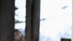 Cómo es Adelaide Cottage, la mansión donde Kate Middleton se recuperará tras su cirugía