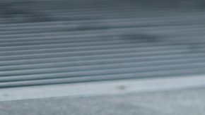 El icónico tutú de Carrie Bradshaw ha sido subastado por más de $50,000 dólares