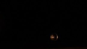 Golden Globes 2024: cómo ver, horarios y más de la entrega de premios