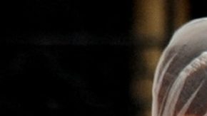 Kate Middleton cumple 42 años: 7 datos que quizá no conocías de la futura reina