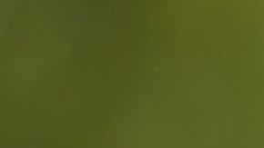 Kate Middleton ya está fuera del hospital: lo que se sabe de su estado de salud