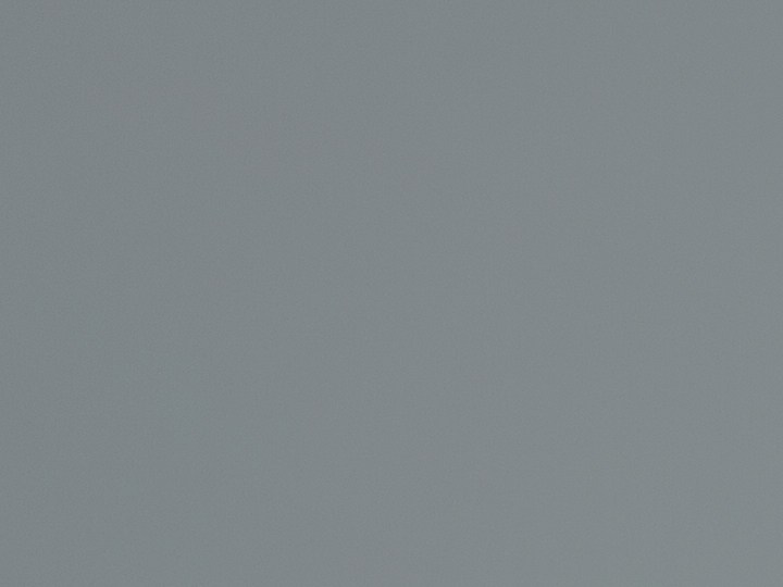 piel