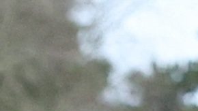 La princesa de Gales se tomará más de dos meses de recuperación tras su cirugía abdominal.