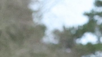 La princesa de Gales se tomará más de dos meses de recuperación tras su cirugía abdominal.